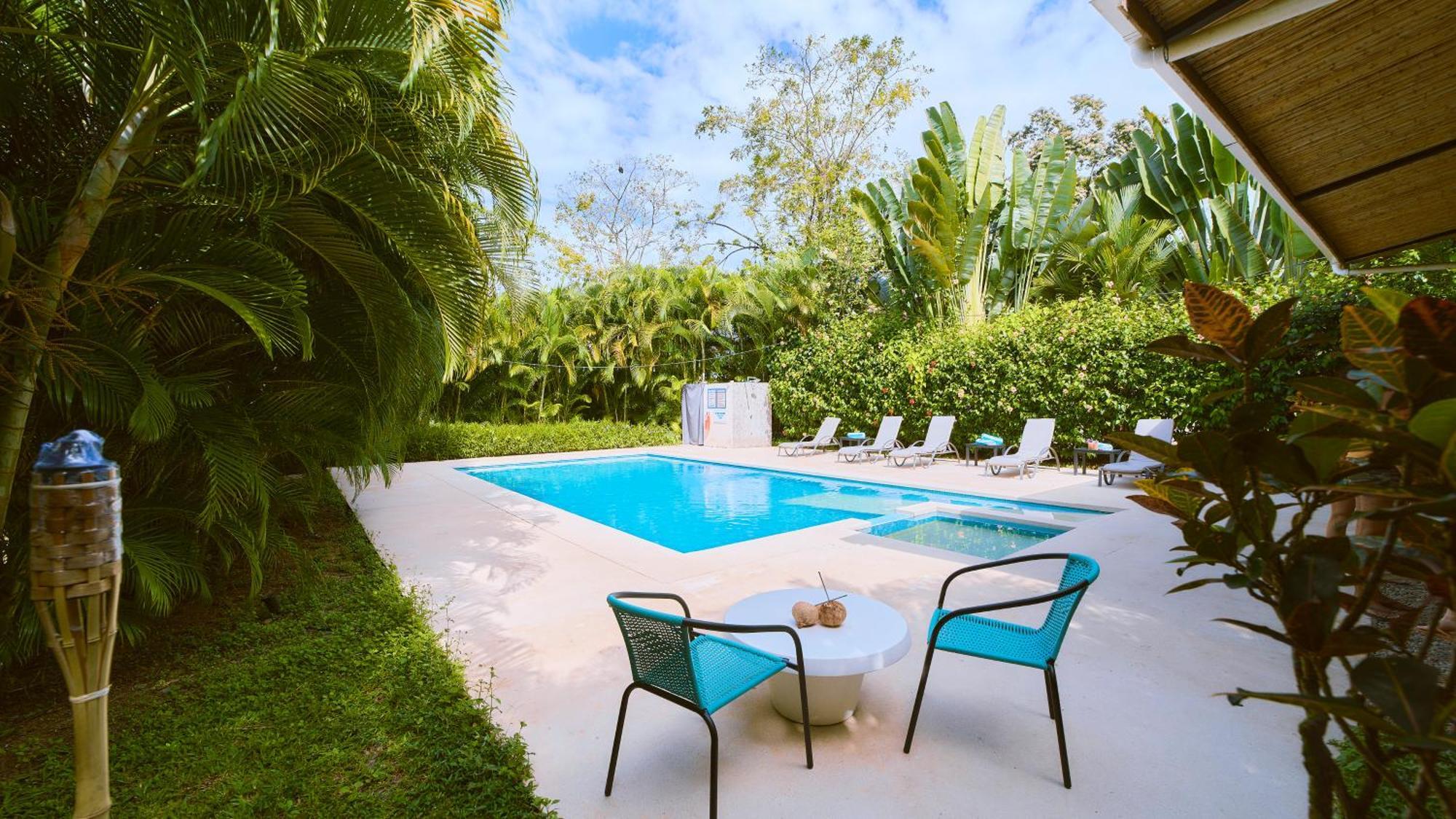 La Tica Y La Gata Hotel Puerto Viejo de Talamanca Ngoại thất bức ảnh