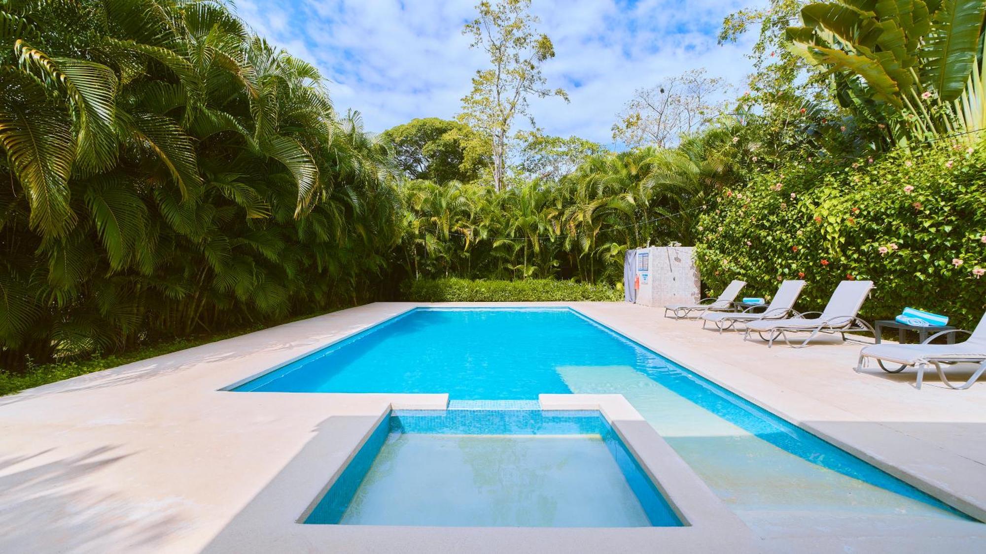La Tica Y La Gata Hotel Puerto Viejo de Talamanca Ngoại thất bức ảnh