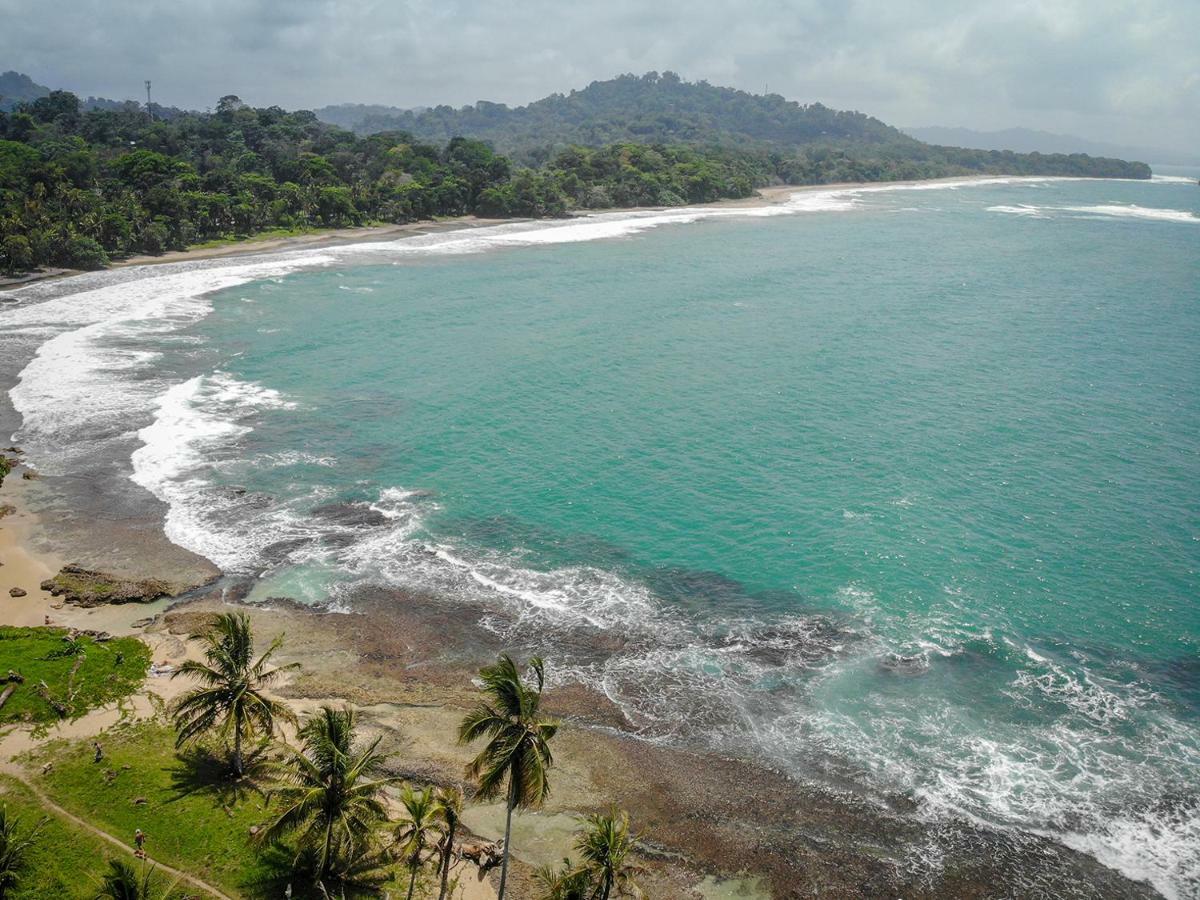 La Tica Y La Gata Hotel Puerto Viejo de Talamanca Ngoại thất bức ảnh